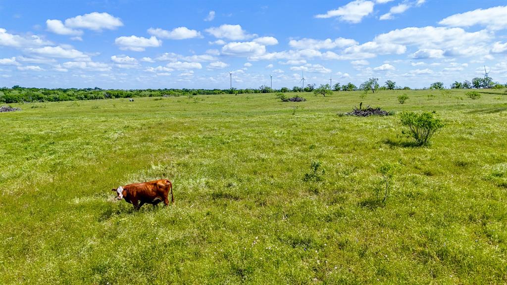 TBD SW County Road 4250