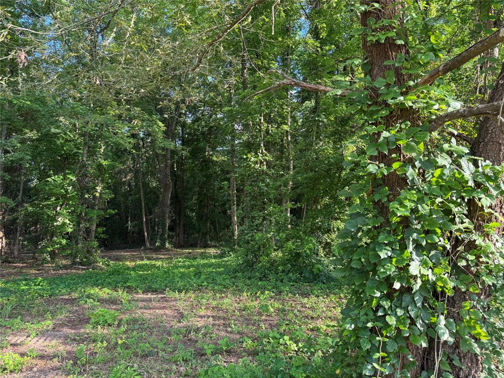 Deer Park Estates - Land