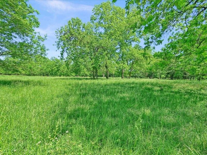 J S Guest A-G0442 - Land