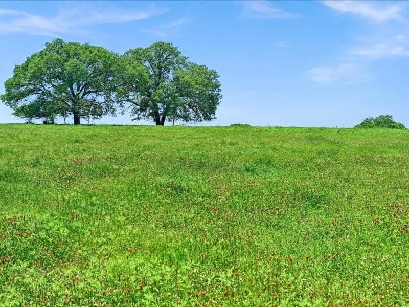 J S Guest A-G0442 - Land