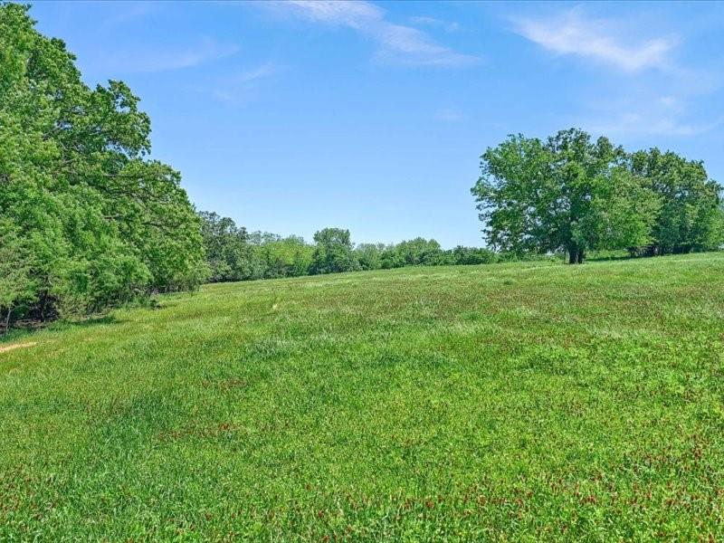 J S Guest A-G0442 - Land