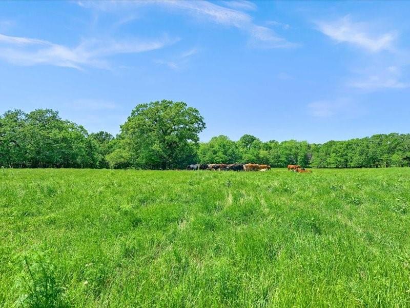 J S Guest A-G0442 - Land