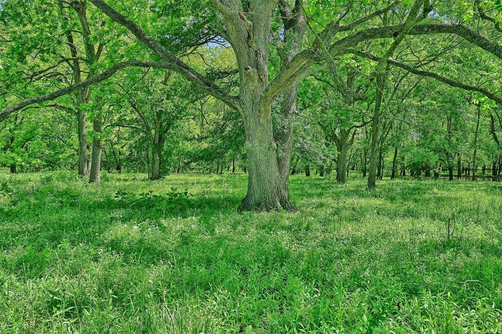 J S Guest A-G0442 - Land