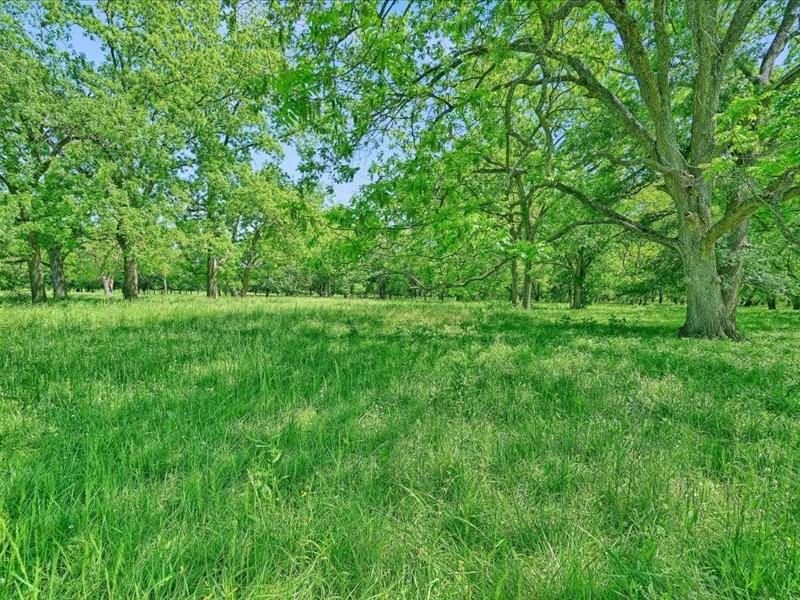 J S Guest A-G0442 - Land