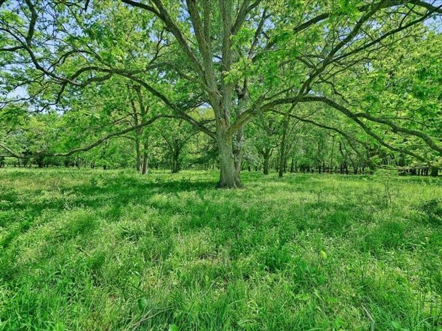 Nestled in serene seclusion, yet just 20 minutes from downtown Sherman, 8 minutes from downtown Denison, 20 minutes from Lake Texoma, and less than an hour from North Dallas.  Discover an untouched paradise!  Over fifty 150 year old paper shell, Burkett, and grafted native pecan trees welcome you to this serene untouched land of rolling hills that is truly one of the most breathtakingly beautiful pieces of land you will ever have opportunity to see.  Property boasts five ponds with the largest pond being spring fed and stocked with largemouth bass, crappie, etc. In 2003 a 7lb largemouth bass delighted a visitor as he reeled it in, and in 2022 a largemouth bass was caught that weighed 6lbs. You can wander through over 30 heavily wooded acres discovering there are 2 creeks that run through the property. Deer, turkey, hogs, all types of critters are your neighbors. Wildlife abounds here, allowing the pleasure of observing many species of birds, including hawks, owls, geese, ducks, in their natural habitat. Located on one hilltop the owner recently unearthed a Model T wrench and assorted other antique items, including brass from shotgun shells dated back to 1901.  The land is fenced and crossfenced into four separate pastures. There is a 30x40 two story utility barn with cement floor, a 14x30 utility shed on the side, and a 30x40 equipment shed on the back. There are three corrals, one of which contains a chute and headgate for working cattle. Water for livestock is piped into a cement water trough from the pond. This location has access to GCEC Electric and also TXU electricity.  Starr Water Company is on the road.  On the SW corner of the land is a tract of land where a Denison sewer lift station is located.  Upon approval from the city of Denison you may also be permitted to connect to Denison city sewer. To Be Verified.