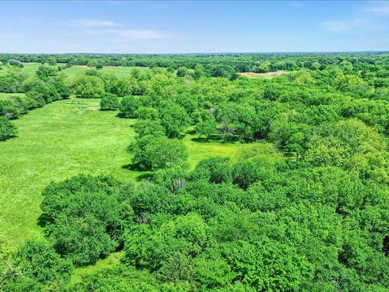 J S Guest A-G0442 - Land