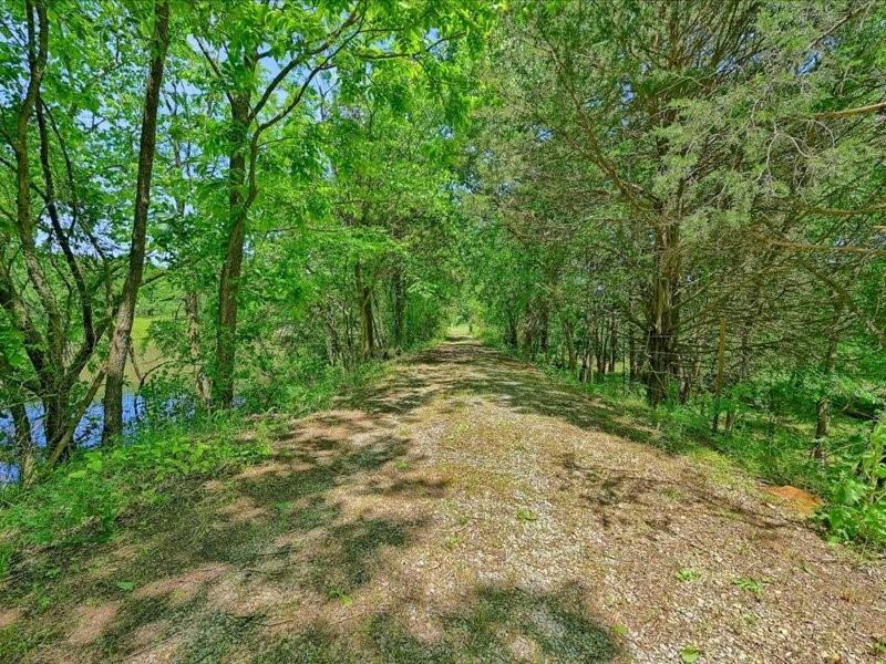 J S Guest A-G0442 - Land