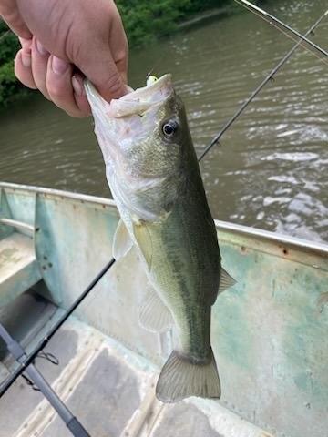 J S Guest A-G0442 - Land