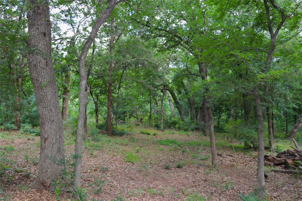 1200 Shannon Lane