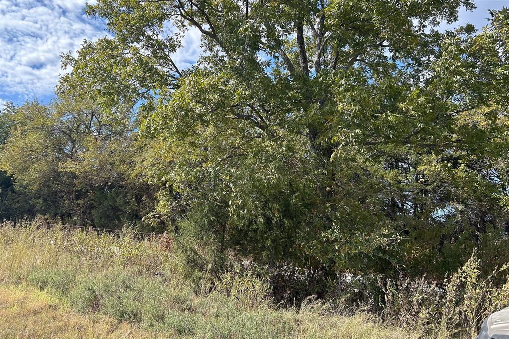 TBD8 County Road 141