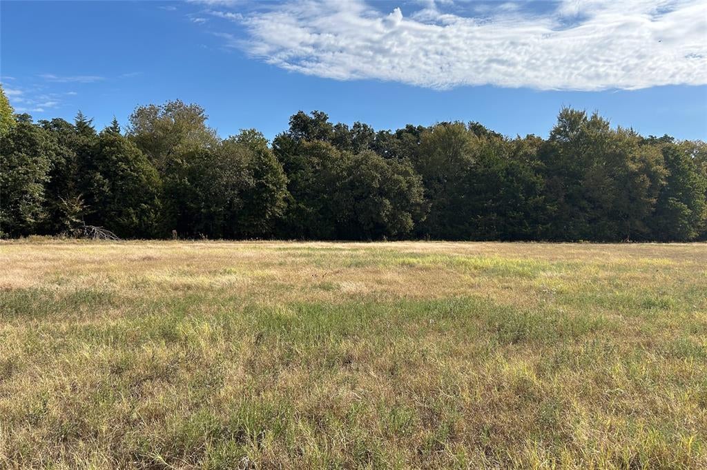 TBD8 County Road 141