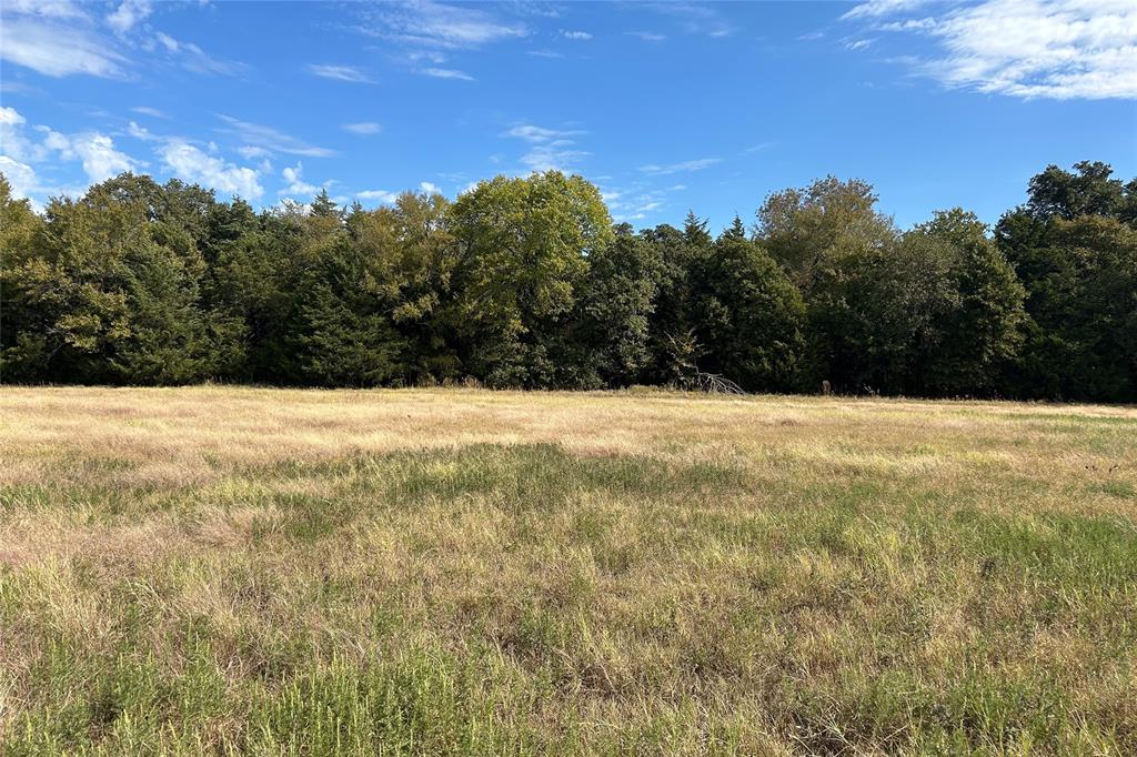 TBD8 County Road 141