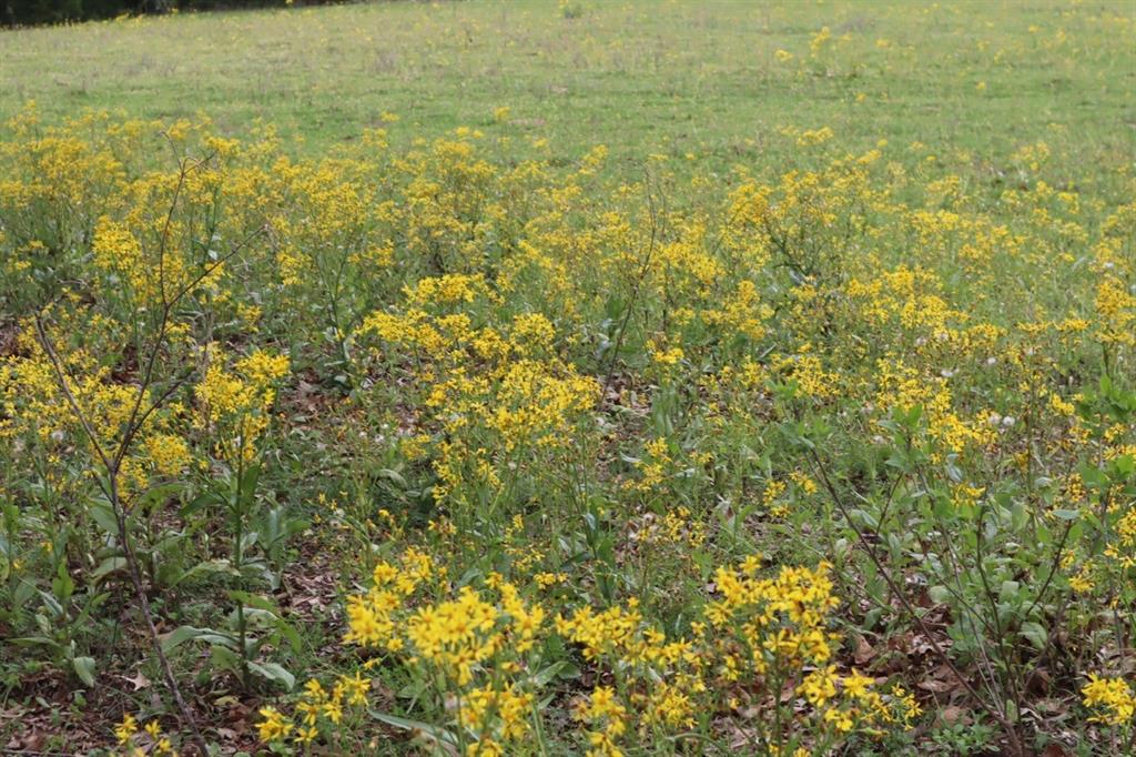 TBD Rs County Road 2365