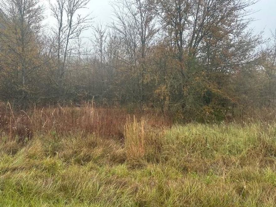 Don’t miss your chance to own a beautiful lot in the highly sought-after Paradise Bay community! This peaceful neighborhood is the perfect place to build your dream home or weekend getaway—just minutes from Cedar Creek Lake. Enjoy the best of lake living with two private boat ramps available for residents, making it easy to spend your days fishing, boating, or simply relaxing on the water. Paradise Bay offers a quiet country feel while still being conveniently close to shopping, dining, and entertainment. Whether you’re looking for a permanent residence or a lakeside retreat, this lot provides endless potential in one of the most desirable areas around Cedar Creek Lake. Come make your lake life dreams a reality in Paradise Bay!