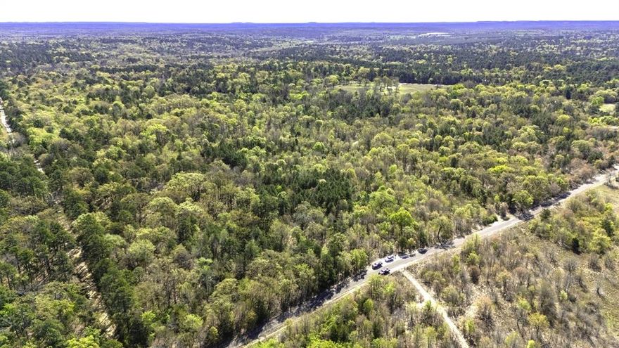 Situated on approx. 60 acres of lush woodland, this property is conveniently located just a short distance from the Horseshoe Bend Subdivision. Boasting nearly 1,500 ft of road frontage along County Road 4552, the northern boundary spans approx. 1,750 ft. This tract of land showcases a diverse array of indigenous trees, including stately hardwoods, robust oak & hickory trees, as well as majestic pine trees, delicate dogwoods, sizable sweet gum trees, & unique mitten leaf sassafras trees. According to a recent topo map, there may be potential sites suitable for creating a large pond or even a small lake on the property. Such a feature could offer year-round recreational activities for the entire family, including hunting & fishing. There are approx. 1800 ft. of trails that meander through the woods eventually opening up under a canopy of pine & oak trees. For those considering building their dream home, this property offers several ideal locations nestled amidst the serene woodland.