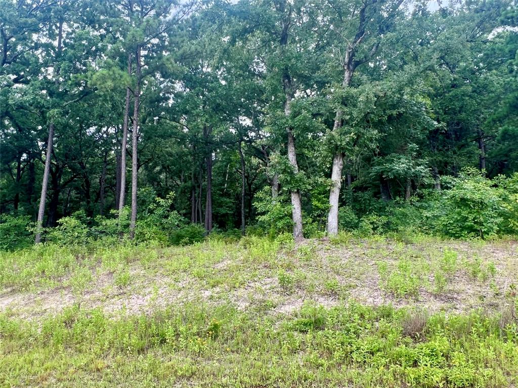 Legacy Shores - Land