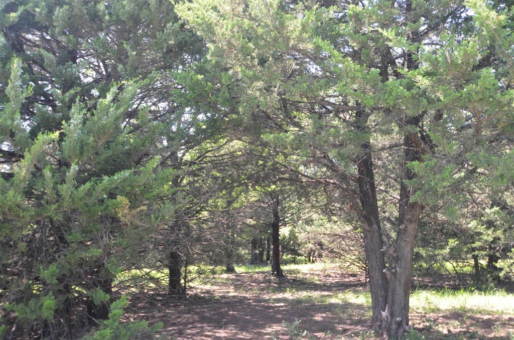 21.543 Acres W FM 120 Highway