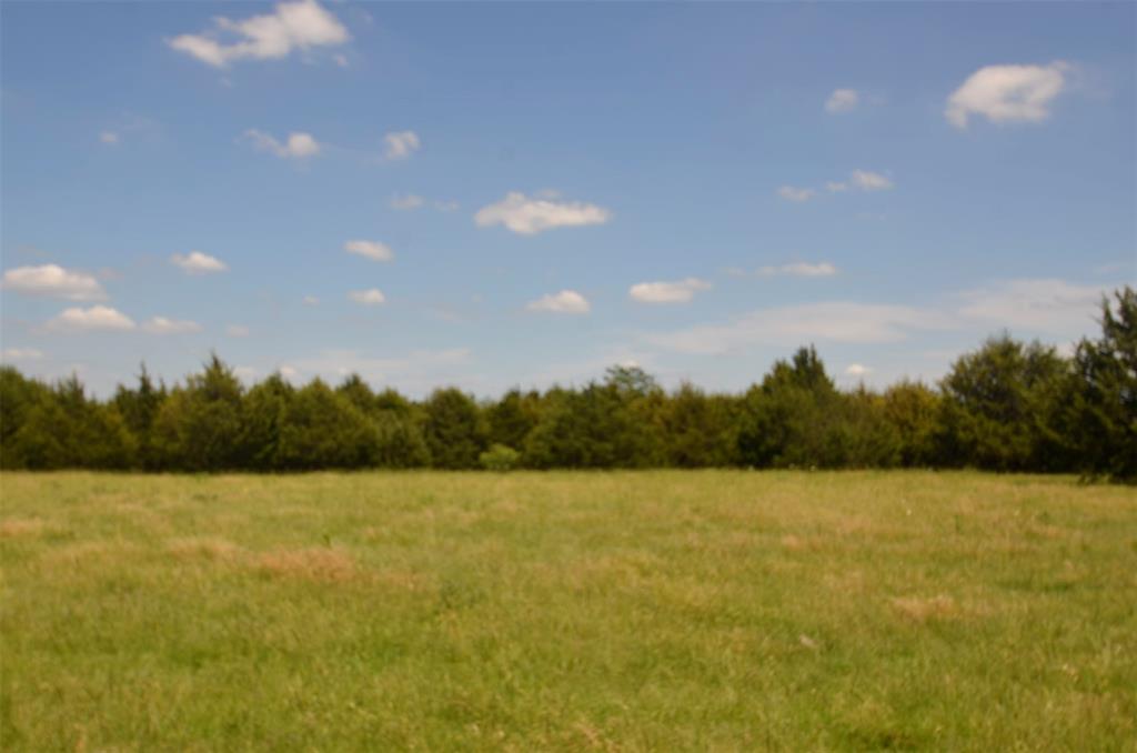 21.543 Acres W FM 120 Highway