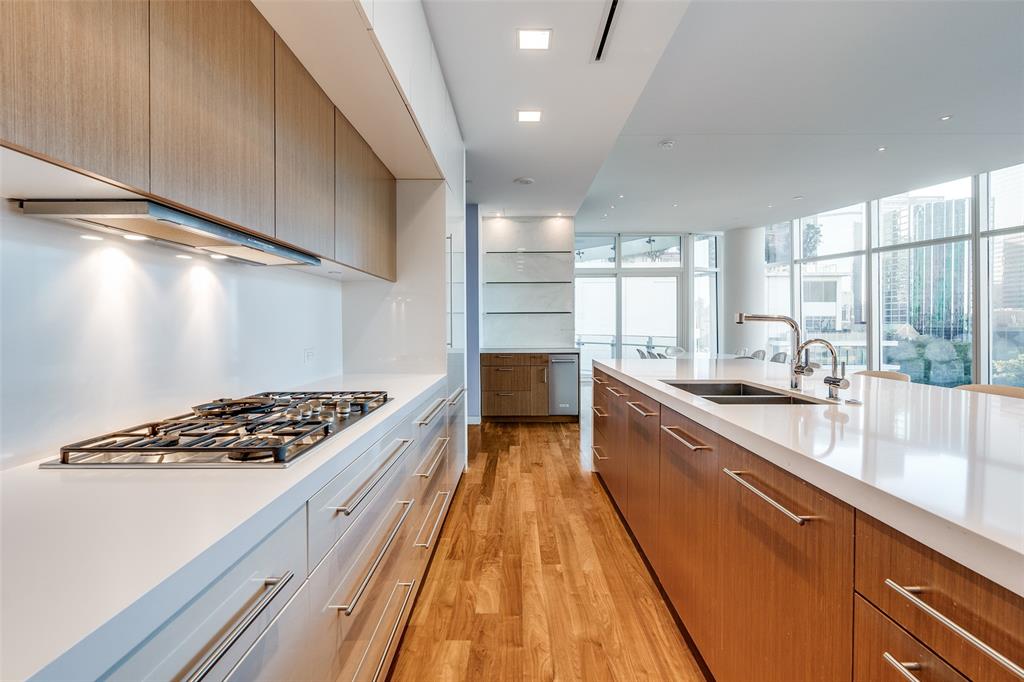 Museum Tower Condo - Residential