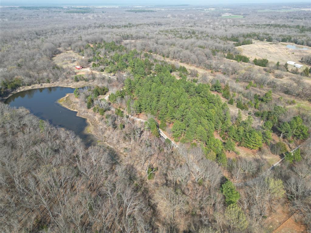 515 County Road 2317