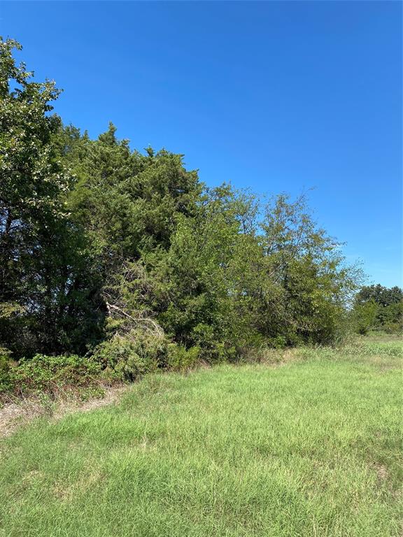 Lot 17 County Road 1126