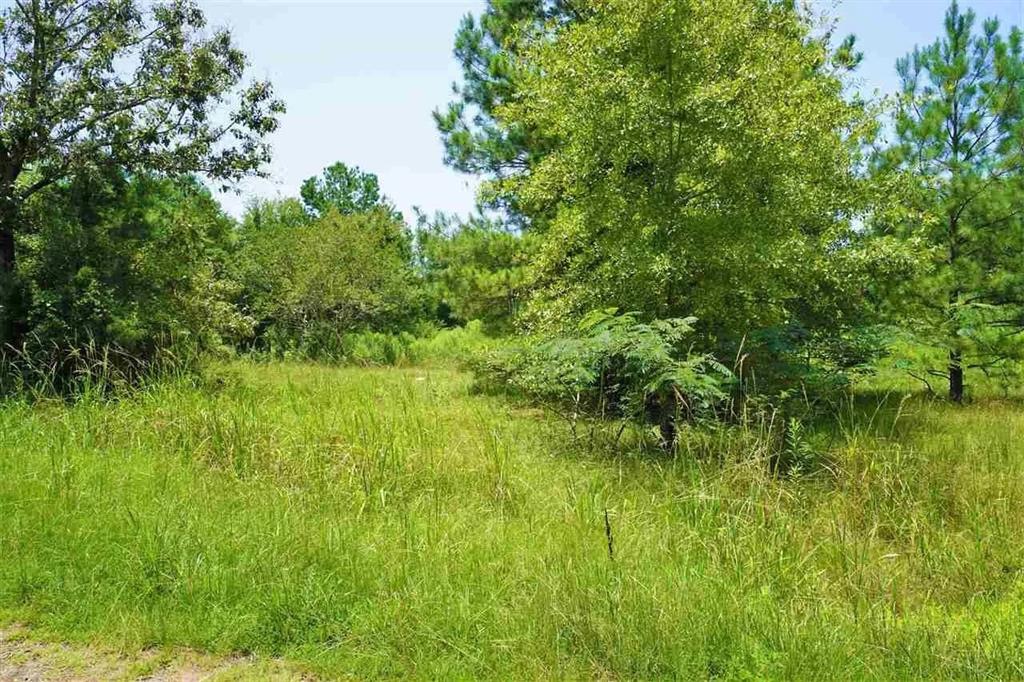 106 County Road 439