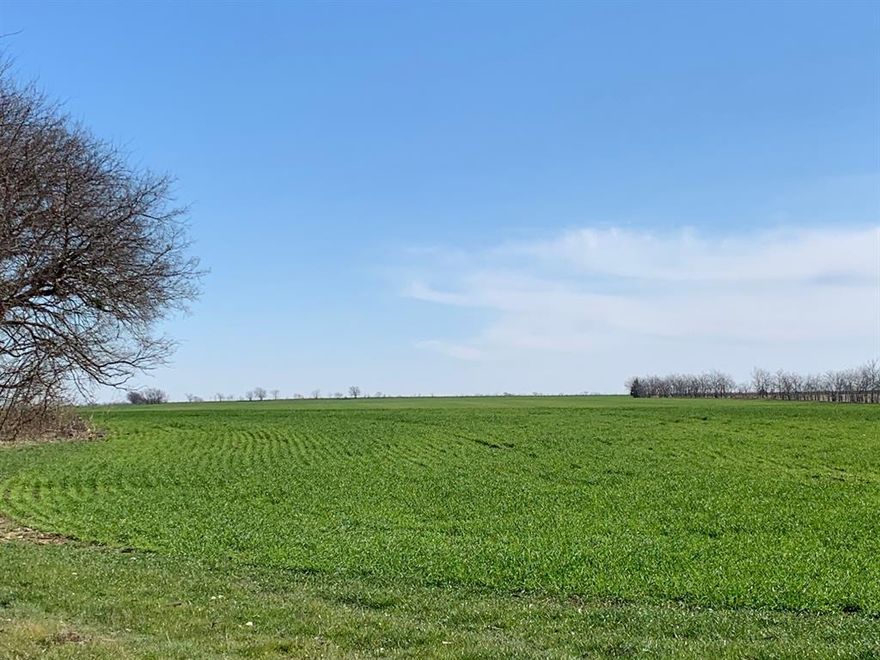 Discover the perfect blend of comfort, space, and opportunity with this expansive 11.6-acre property. Featuring multiple build sites and generous acreage, this parcel is ideal for creating the home or retreat you’ve always envisioned—whether that’s a private residence, a family compound, or a peaceful getaway surrounded by nature.

Located just outside the city limits, you’ll enjoy added flexibility without the oversight of an HOA, allowing you to design your property to suit your lifestyle. A paved road leads directly to the property, offering easy access while maintaining the quiet, country atmosphere you’re looking for.

Here, you can enjoy the tranquility of open land and wide-open skies while staying conveniently close to the amenities and services of Collinsville and Whitesboro. Whether you're commuting, relaxing, or planning for the future, this property offers the ideal balance of privacy and convenience.

Bring your builder and your vision—this is the perfect place to create the home and lifestyle that fit you best.