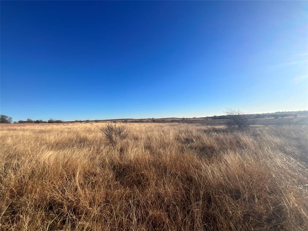 caro toribio - Residential