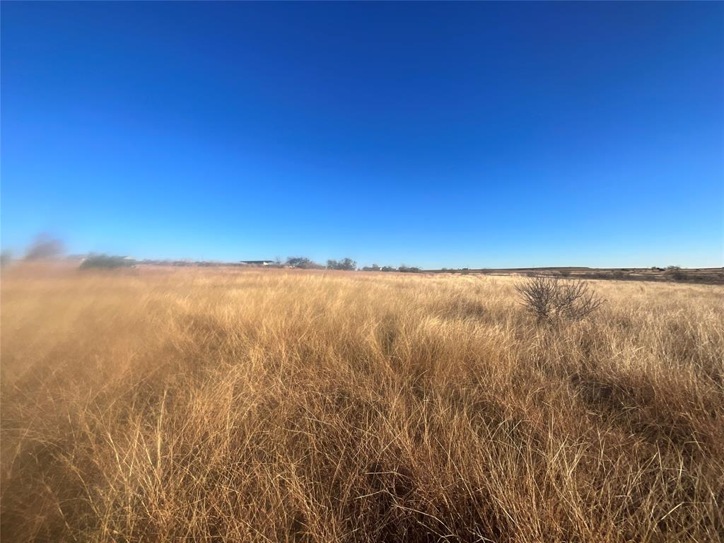 caro toribio - Residential