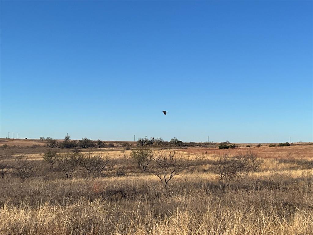 caro toribio - Residential