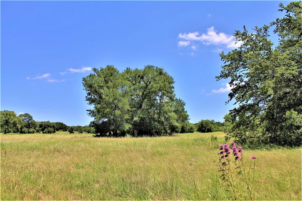 FERDINAND LENDERS SURVEY - Farm
