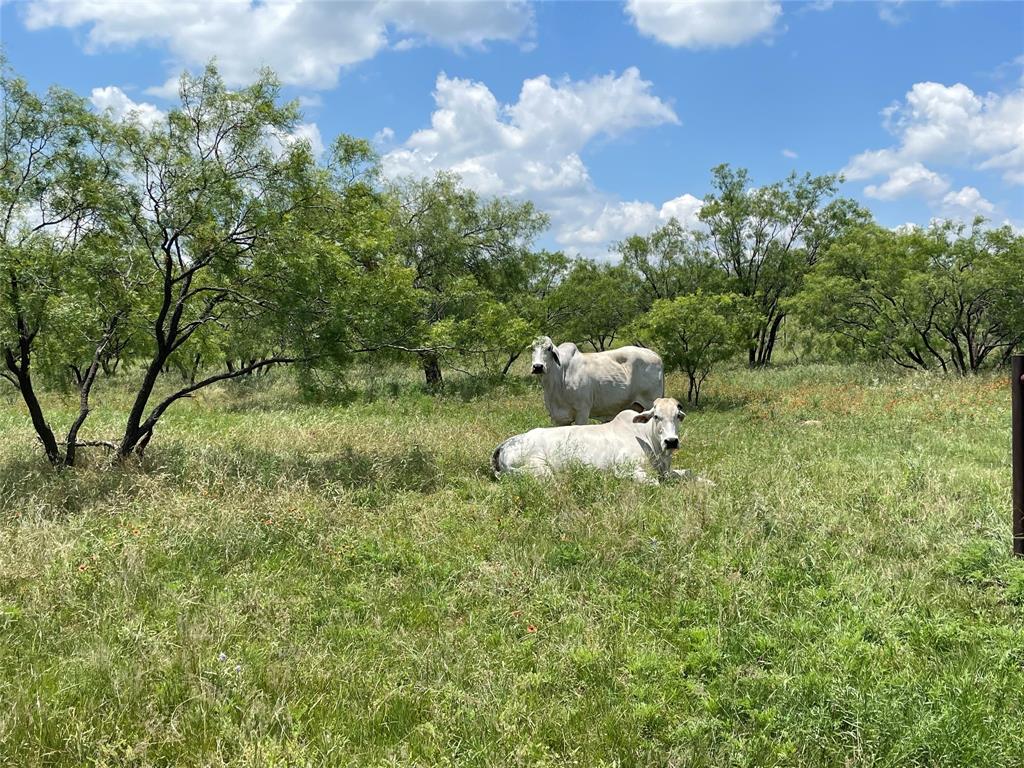 RM GRANTHAM SUR 96 - Farm