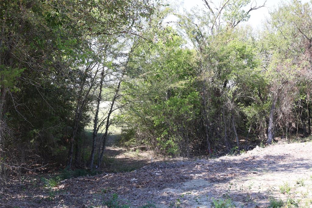 James Harrison Surv Abs # 508 - Land