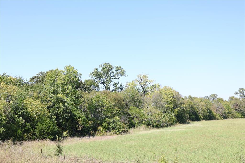 James Harrison Surv Abs # 508 - Land