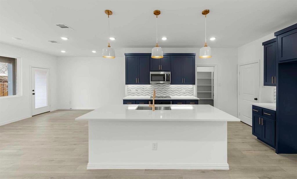 2517 Lost Maples Lane