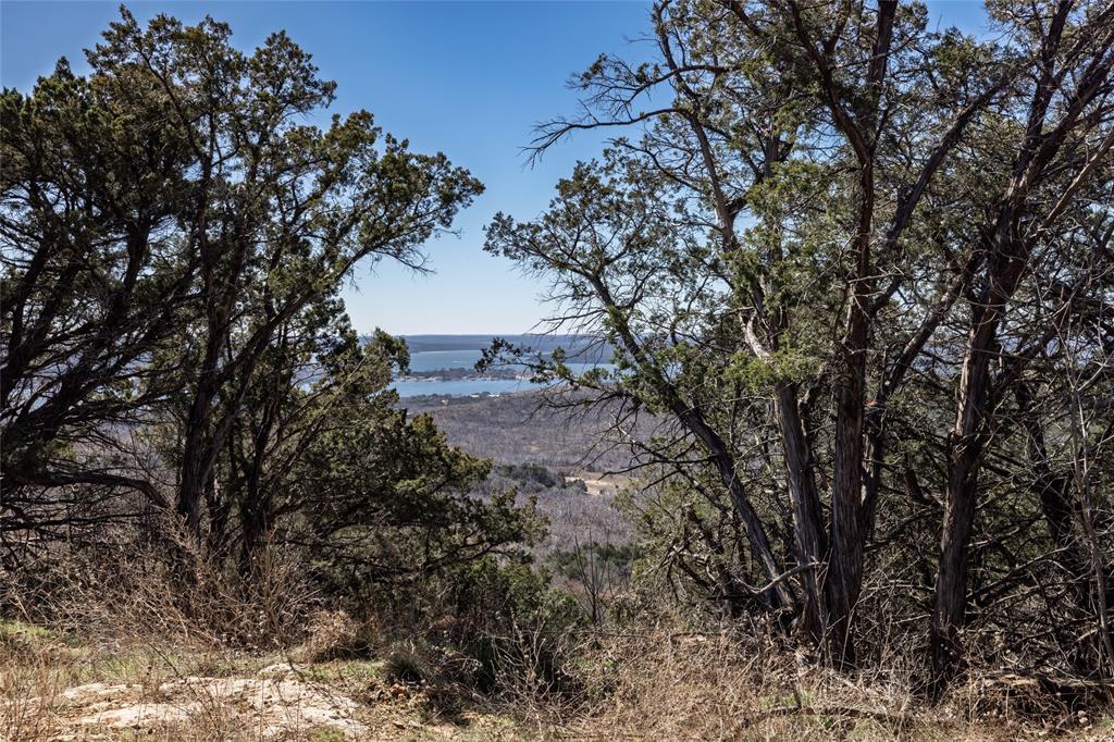 AB 1977 TR 1ALEX STRINGER - Land