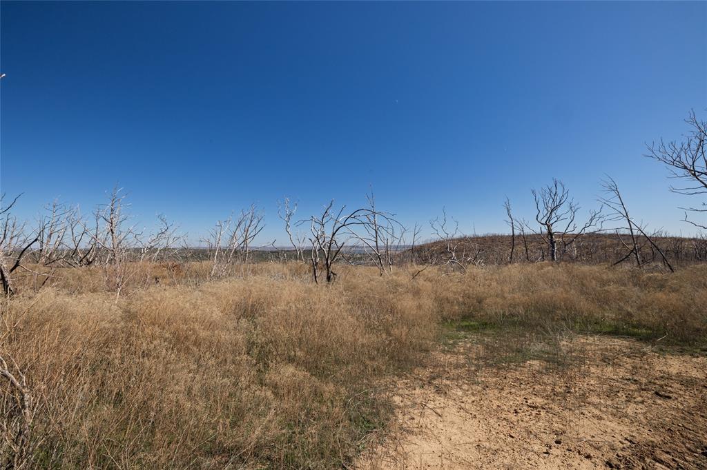 AB 1977 TR 1ALEX STRINGER - Land