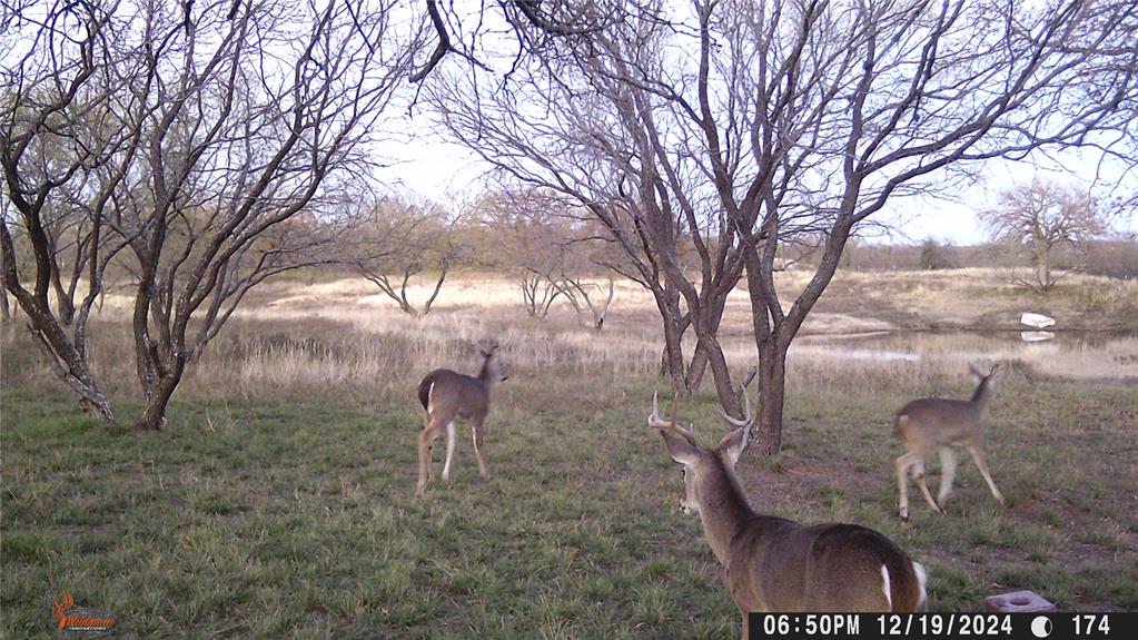 H&Tc 710 - Residential