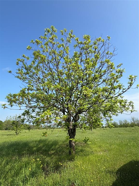 Old DCAD TR 2A, 3B - Land