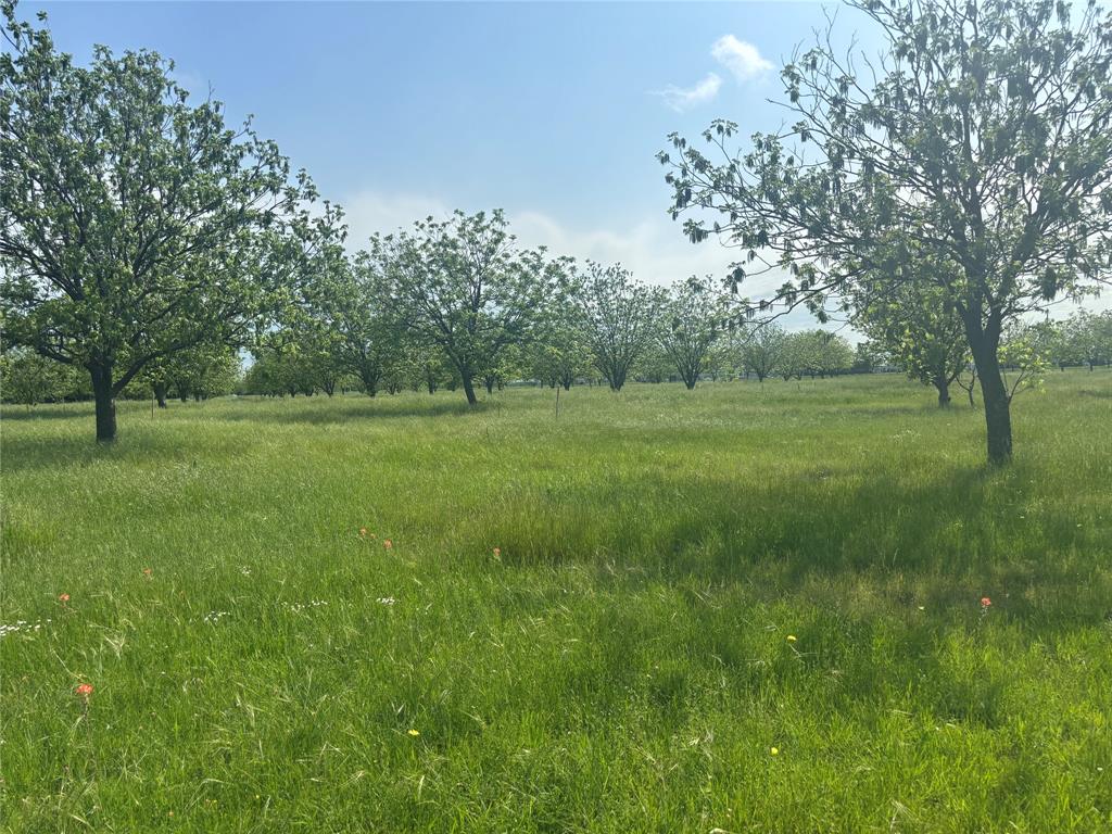 Old DCAD TR 2A, 3B - Land