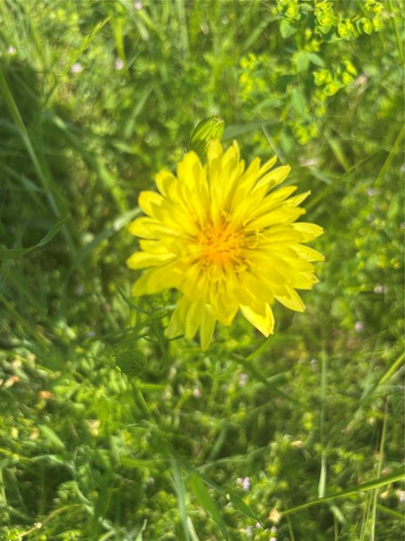 Old DCAD TR 2A, 3B - Land