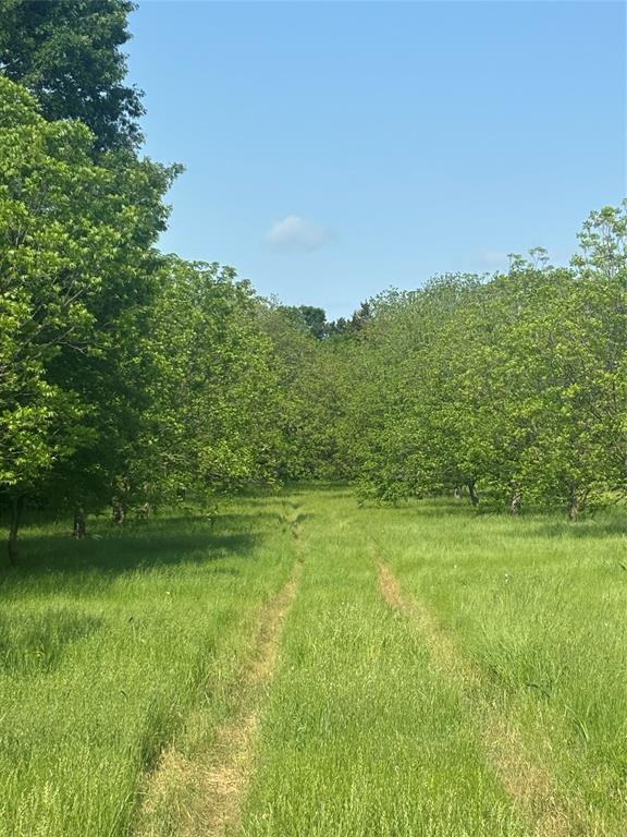 Old DCAD TR 2A, 3B - Land