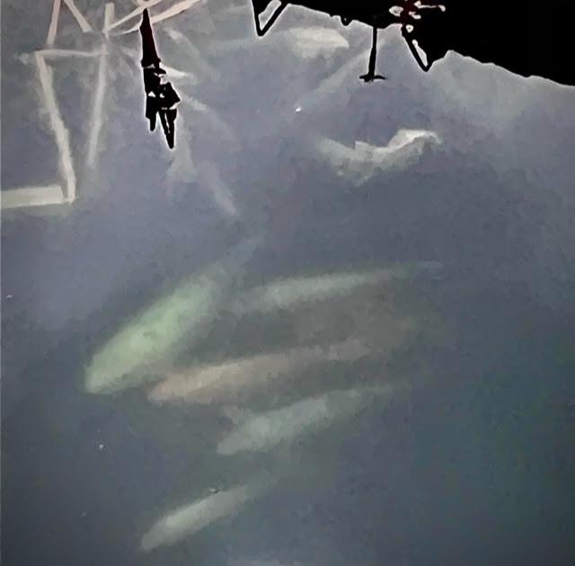 Greenacres Place Sub Un #4 - Residential