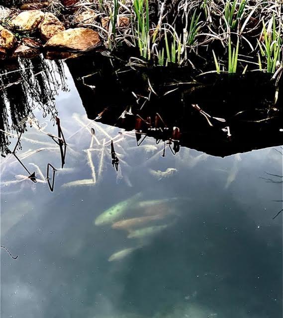 Greenacres Place Sub Un #4 - Residential