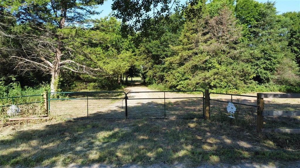 1979 County Road 1135