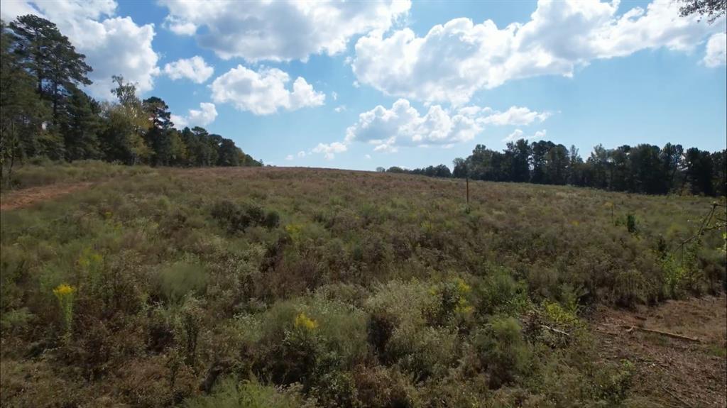 TBD-D County Road 4172D