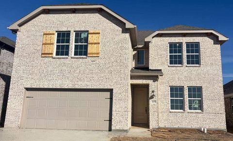 669 Tyronza Drive Justin TX 76247