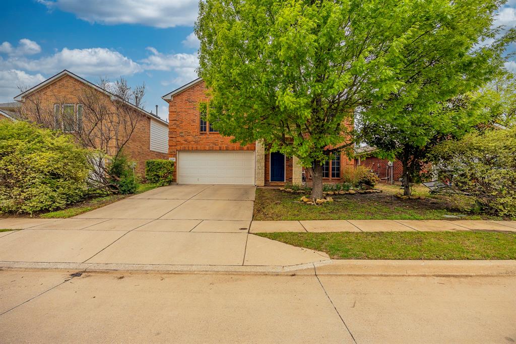 3428 Baby Doe Court
