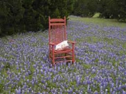 White Bluff #30 - Land