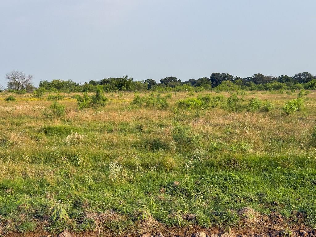 LOT 13 ELM BRANCH